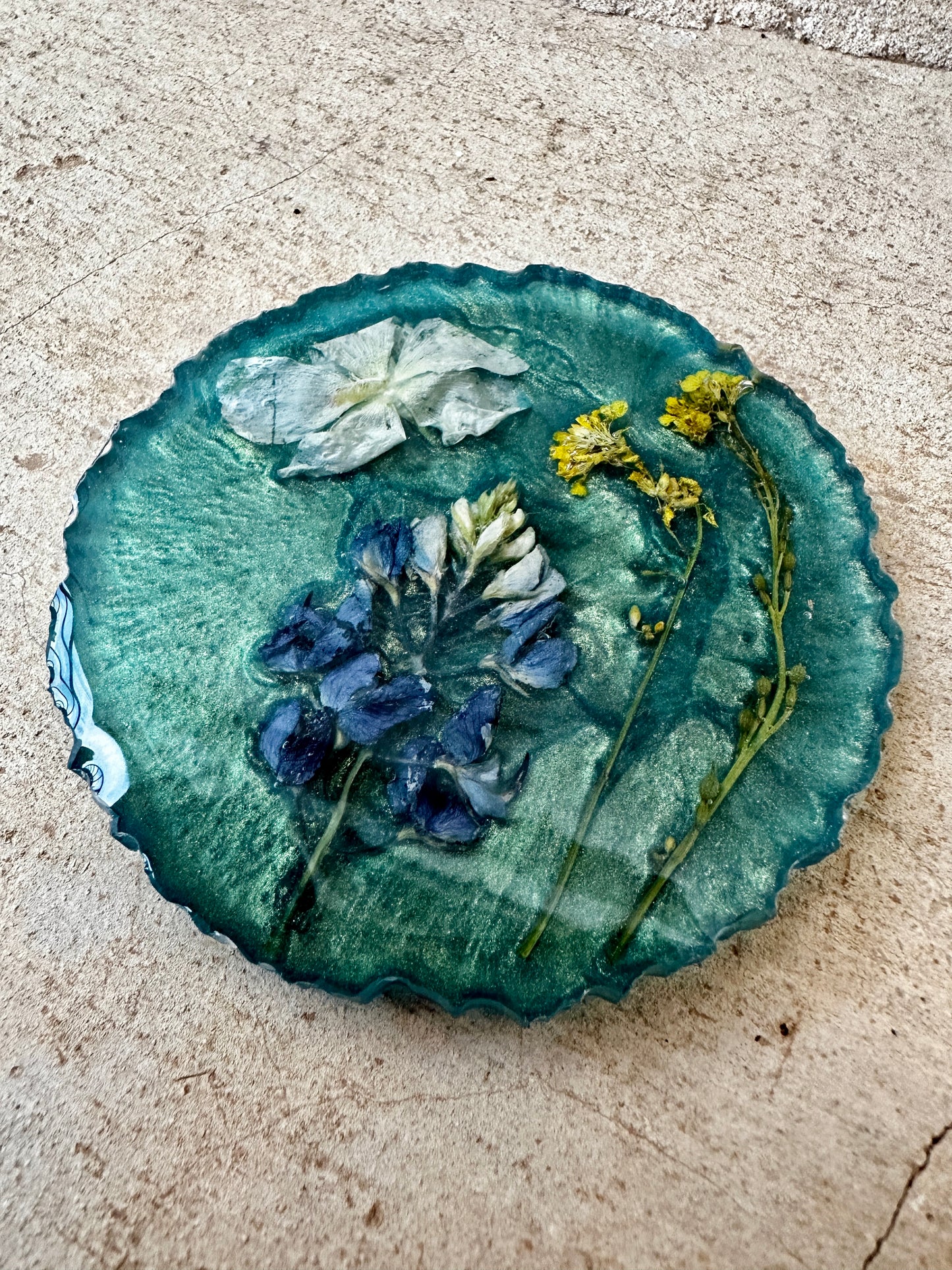 Coaster Set _ Tx Wildflowers (includes 3)