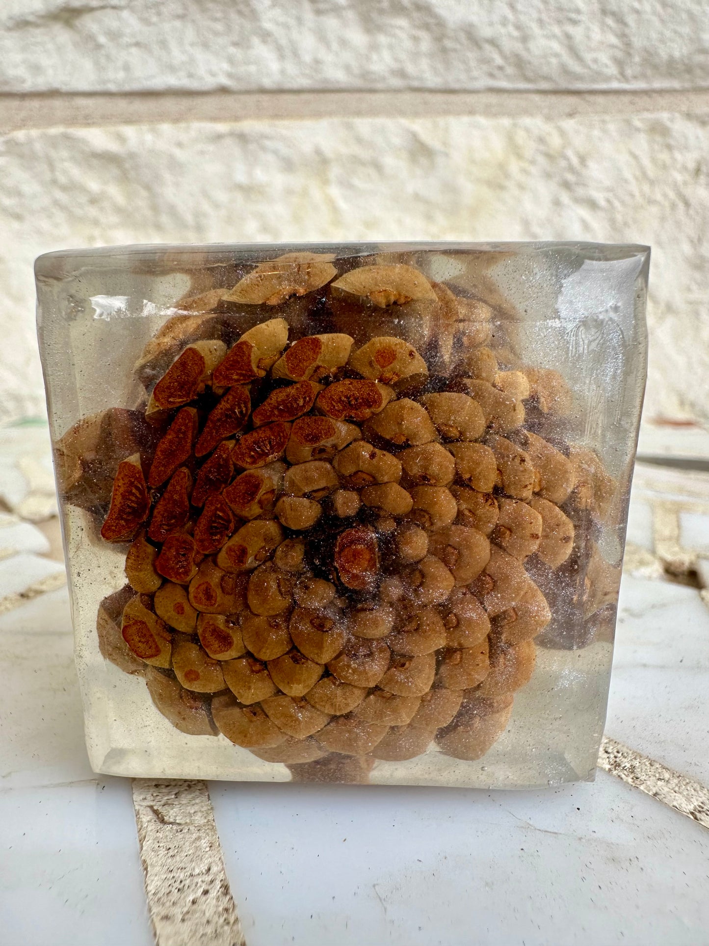 Paper Weight _ Pinecone