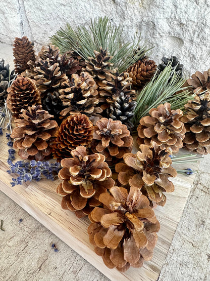 Paper Weight _ Pinecone