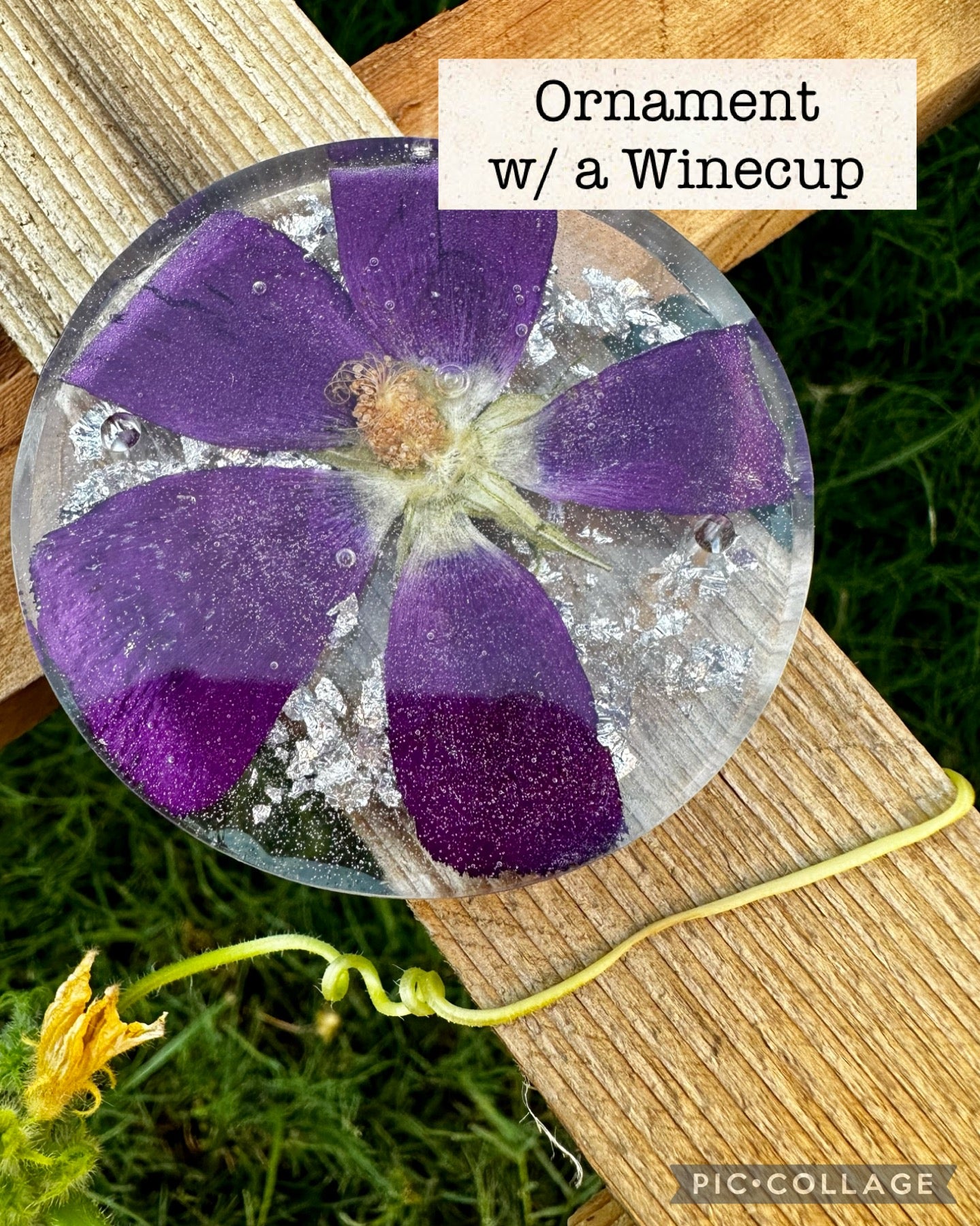 Ornament _ Winecup 3