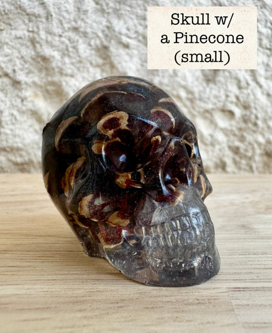 Skull _ Pinecone