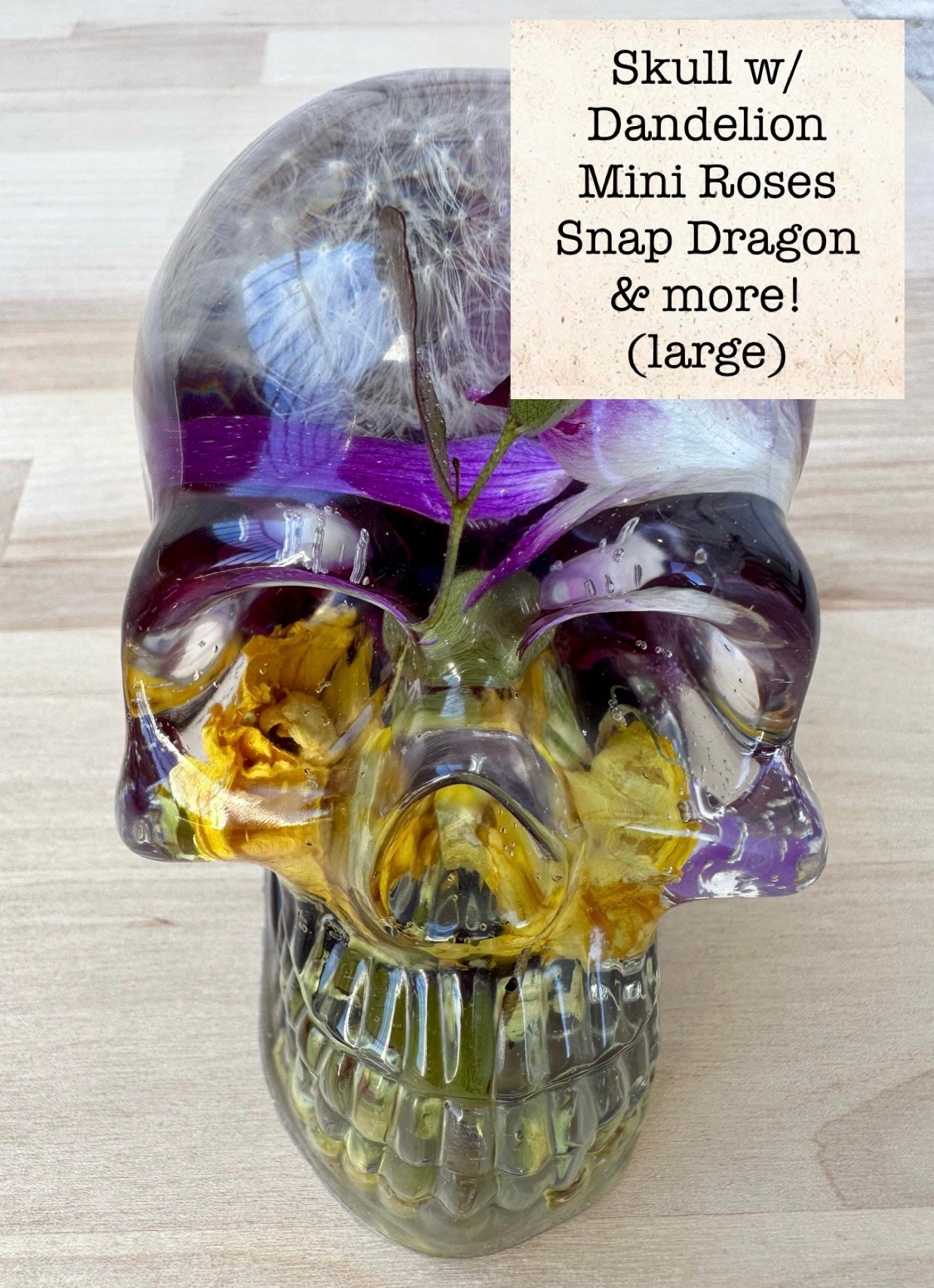 Skull _ Dandelion & Snap Dragon+