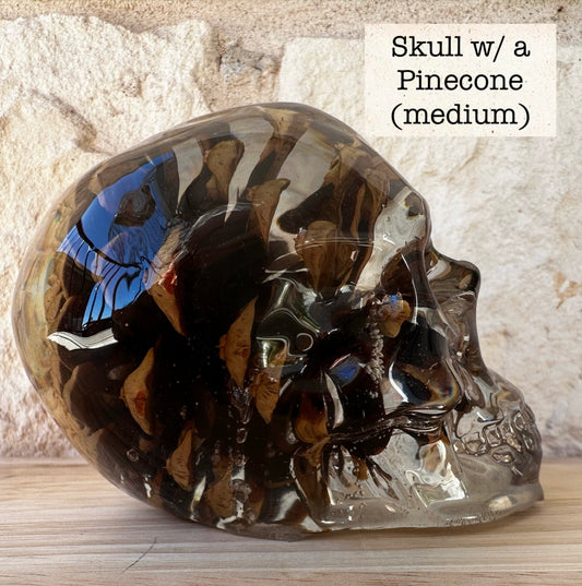 Skull _ Pinecone