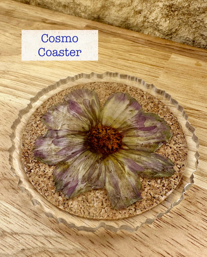 Coaster _ Cosmo