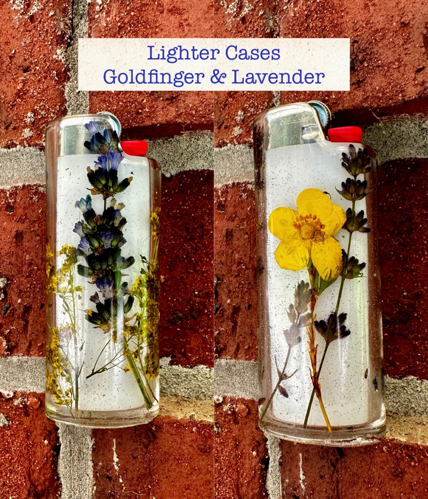 Lighter Case _ Goldfinger & Lavender