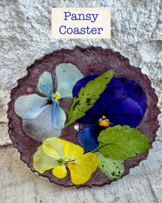 Coaster _ Pansy